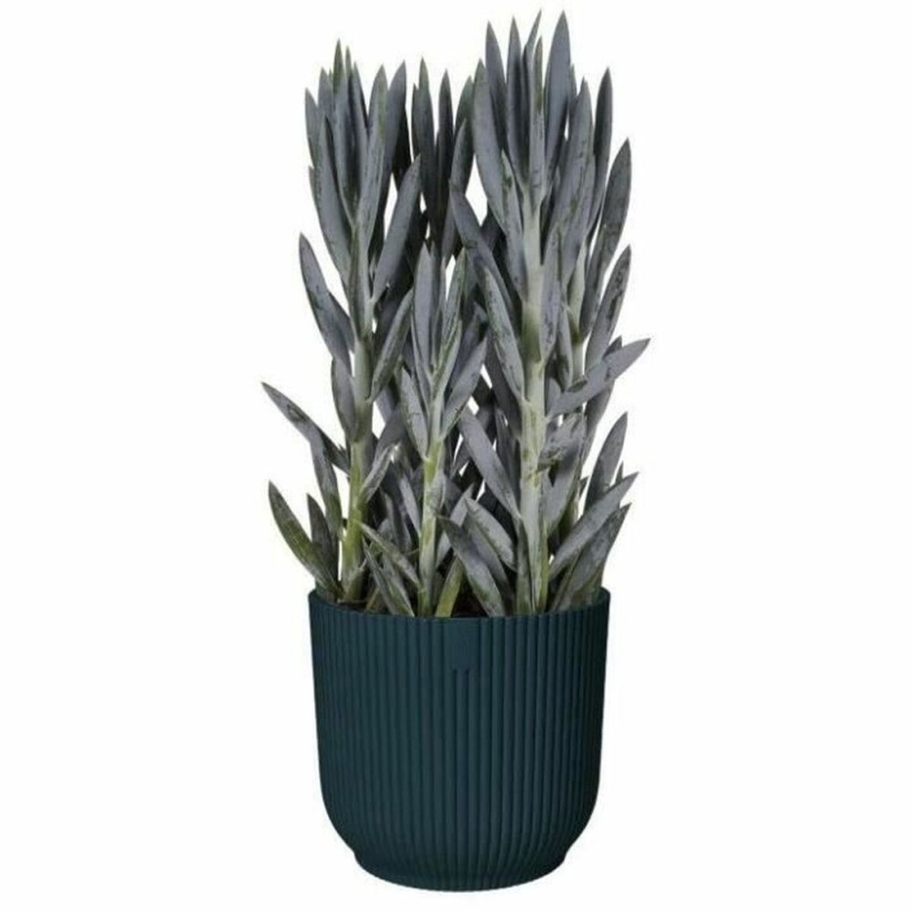 Pot Elho Plastique Ronde Ø 28,5 cm