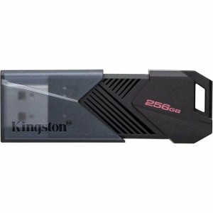 Clé USB Kingston DTXON/256GB 256 GB Noir