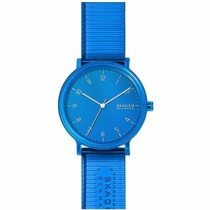 Men's Watch Skagen AAREN (Ø 41 mm)