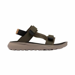 Sandales de montagne Columbia Peakfreak Roam™
