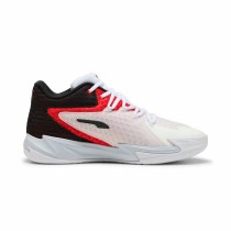 Basketballschuhe für Erwachsene Puma Dagger