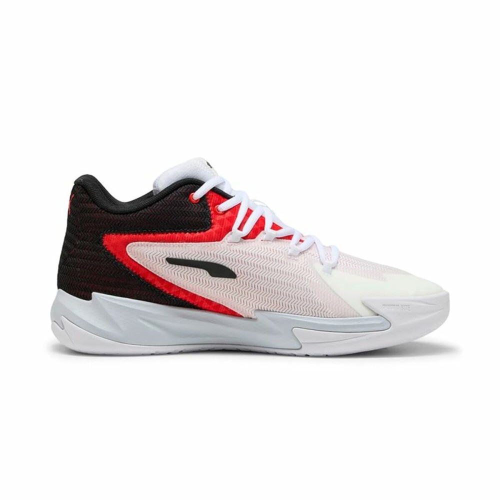 Basketballschuhe für Erwachsene Puma Dagger