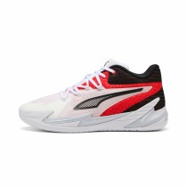 Basketballschuhe für Erwachsene Puma Dagger