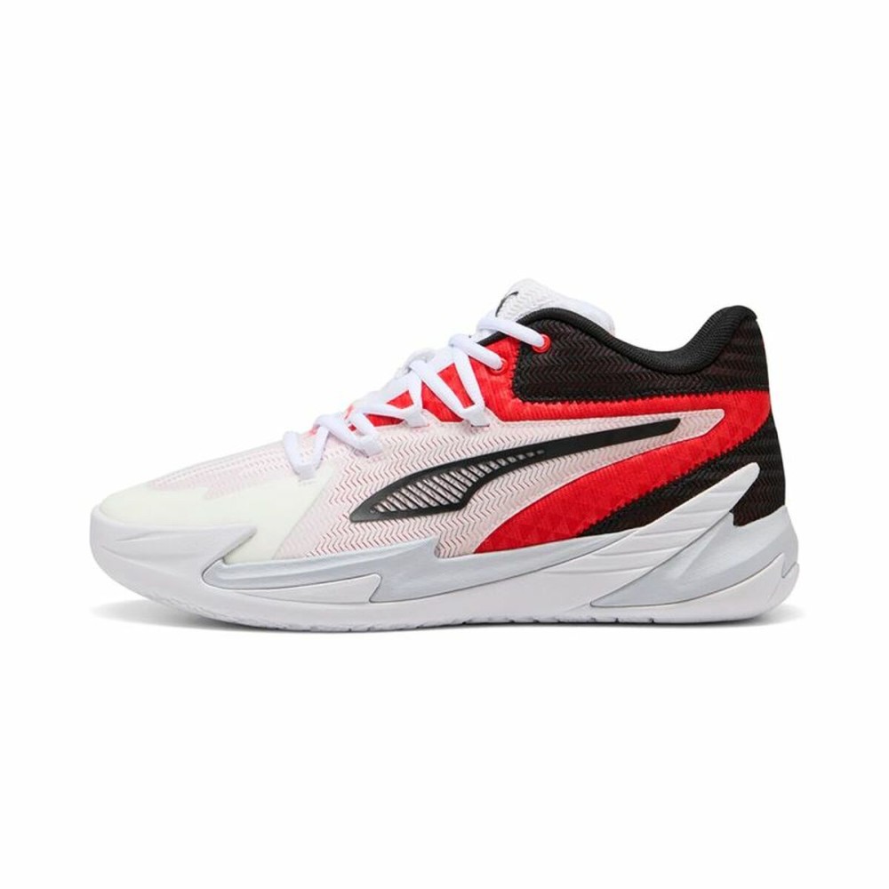 Basketballschuhe für Erwachsene Puma Dagger