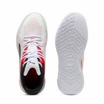 Basketballschuhe für Erwachsene Puma Dagger