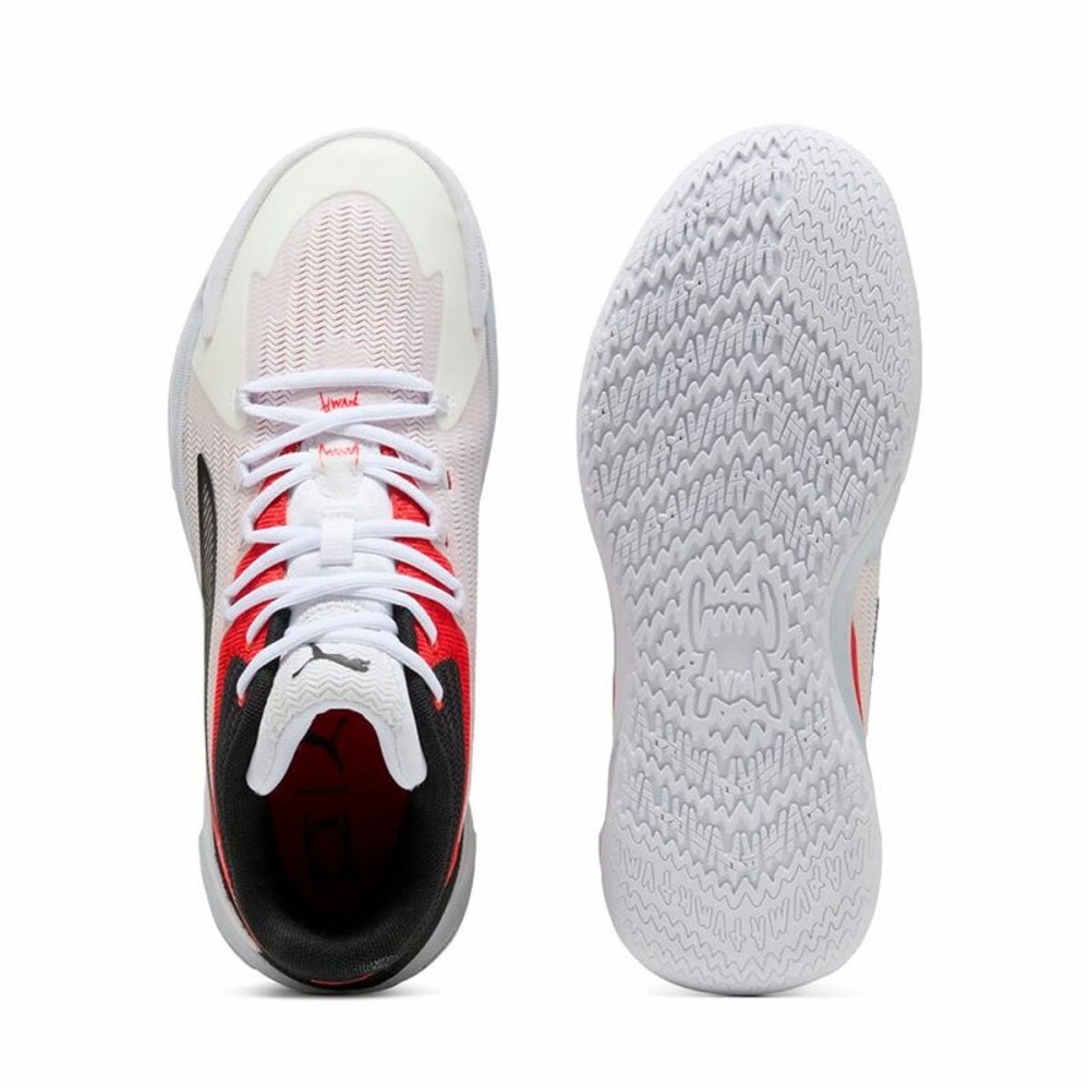 Basketballschuhe für Erwachsene Puma Dagger