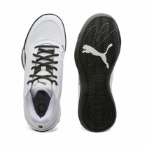 Basketballschuhe für Erwachsene Puma Court Pro
