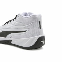 Basketballschuhe für Erwachsene Puma Court Pro