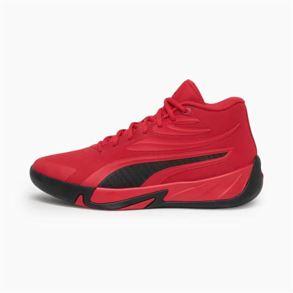 Basketballschuhe für Erwachsene Puma Court Pro