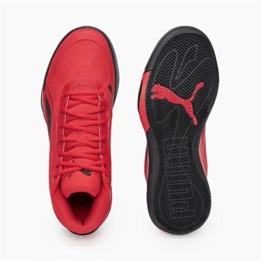 Basketballschuhe für Erwachsene Puma Court Pro