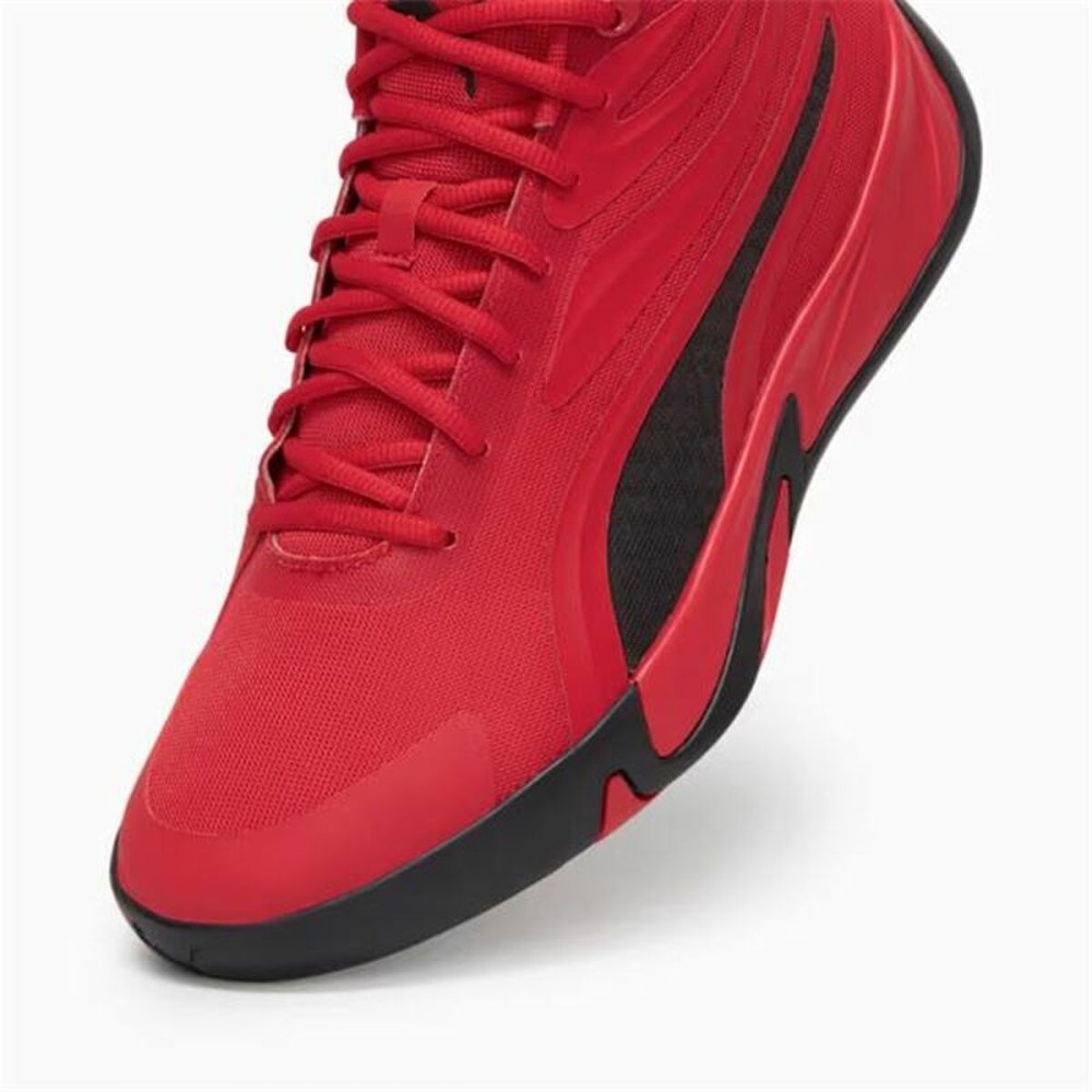 Basketballschuhe für Erwachsene Puma Court Pro