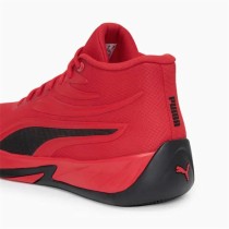 Basketballschuhe für Erwachsene Puma Court Pro
