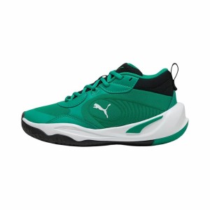 Basketballschuhe für Erwachsene Puma Playmaker Pro grün