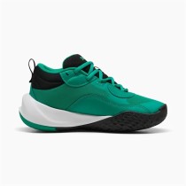Basketballschuhe für Erwachsene Puma Playmaker Pro grün