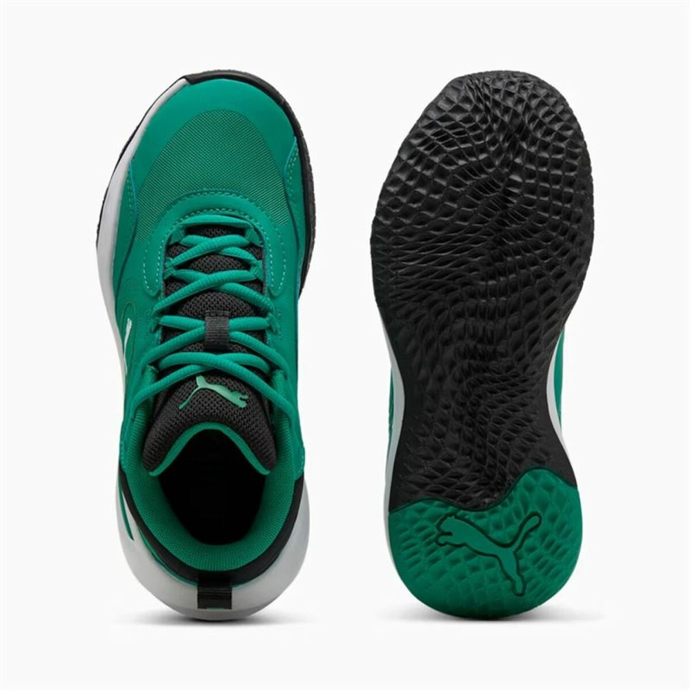 Basketballschuhe für Erwachsene Puma Playmaker Pro grün