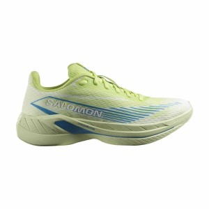 Laufschuhe für Erwachsene Salomon Spectur 2 Sh