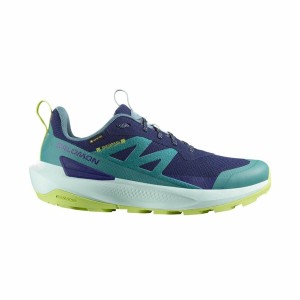 Walking Shoes for Men Salomon Elixir Activ Gtx Blue