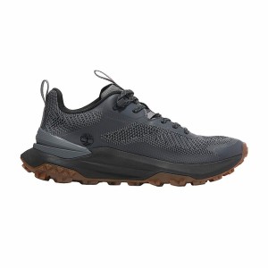Men's Trainers Timberland Motion Access Low Lace Up Dark grey