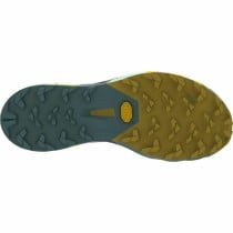 Running Shoes for Adults Salewa Alpine Pro 2