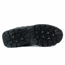 Chaussures de marche pour homme Hi-Tec Cervus Low WP