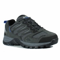 Chaussures de marche pour homme Hi-Tec Cervus Low WP