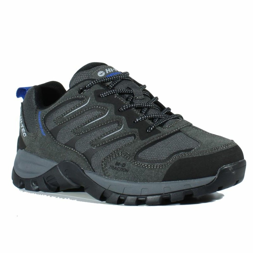 Chaussures de marche pour homme Hi-Tec Cervus Low WP