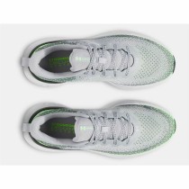 Chaussures de Running pour Adultes Under Armour Infinite Gris