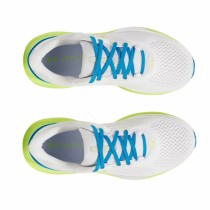 Laufschuhe für Erwachsene Under Armour Infinite Pro 2 Weiß