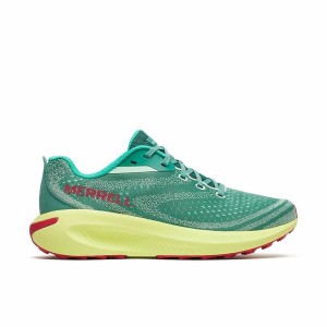 Chaussures de Running pour Adultes Merrell Morphlite Aigue marine