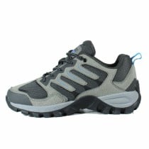 Wanderschuhe für Herren Hi-Tec Cervus Low Dunkelgrau
