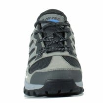 Chaussures de marche pour homme Hi-Tec Cervus Low Gris foncé