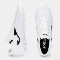 Chaussures de Football pour Adultes Joma Sport Aguila Cup 2402 Blanc