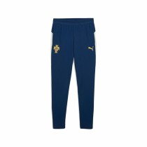 Children’s Sports Shorts Puma Fpf Training Persian Junior
