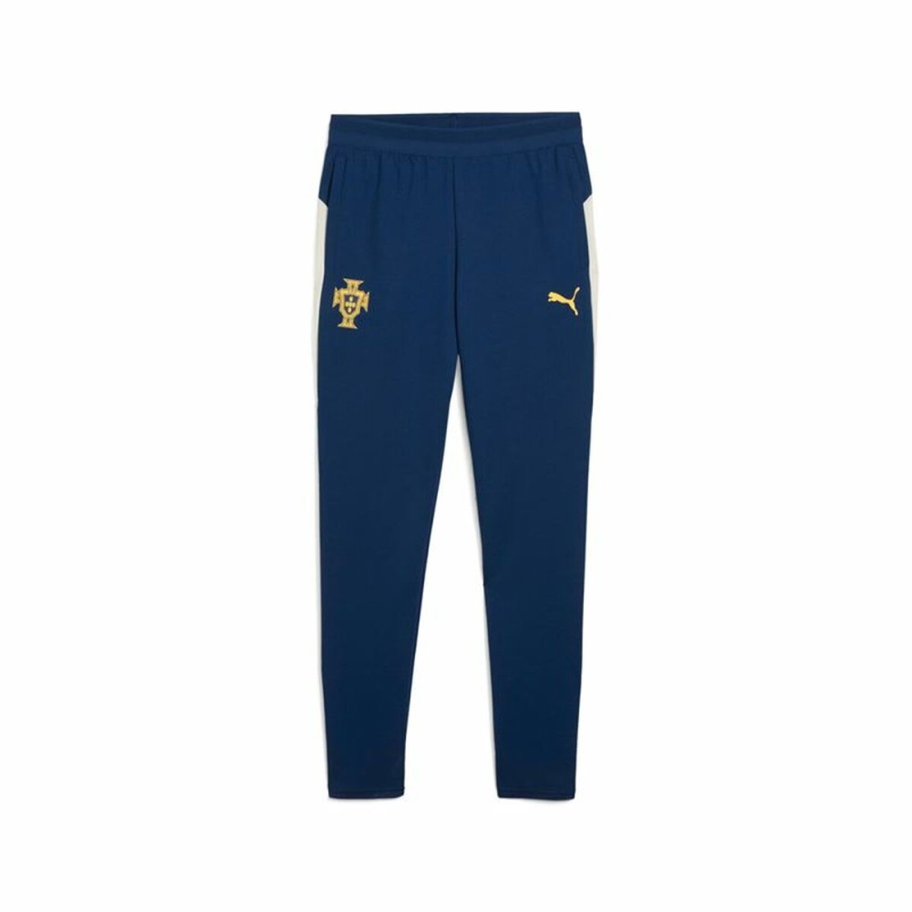 Children’s Sports Shorts Puma Fpf Training Persian Junior