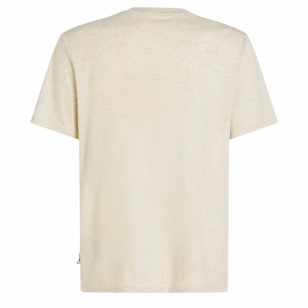 Men’s Short Sleeve T-Shirt O'Neill O'Riginals Hybrid Polygiene Graphic Beige