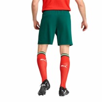 Fußball-Trainingshose für Erwachsene Puma Portugal grün Olive Herren