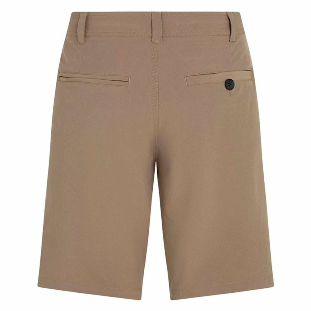 Herren Shorts O'Neill Hybrid 19” Braun