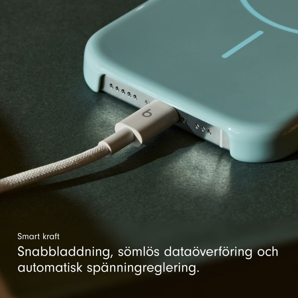 Câble USB-C vers USB-C Apple MDGD4ZM/A Gris 1,5 m