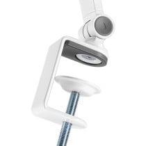 Support mural Neomounts DS15-545WH1 4,7" 12,9"