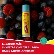 Moisturising Balm Carmex Hi Anti-Age Transparent Red fruits Stick Lip plumper