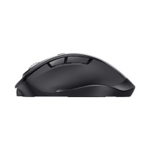 Souris Trust 25708