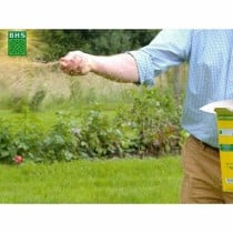 Seeds BHS 3 Kg