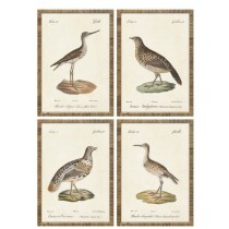 Bild Home ESPRIT Beige Vögel Cottage 40 x 2,5 x 50 cm (4 Stück)