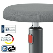Ergonomic Stool Leitz Ergo Cosy Active Plastic