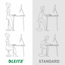 Ergonomic Stool Leitz Ergo Cosy Active Plastic