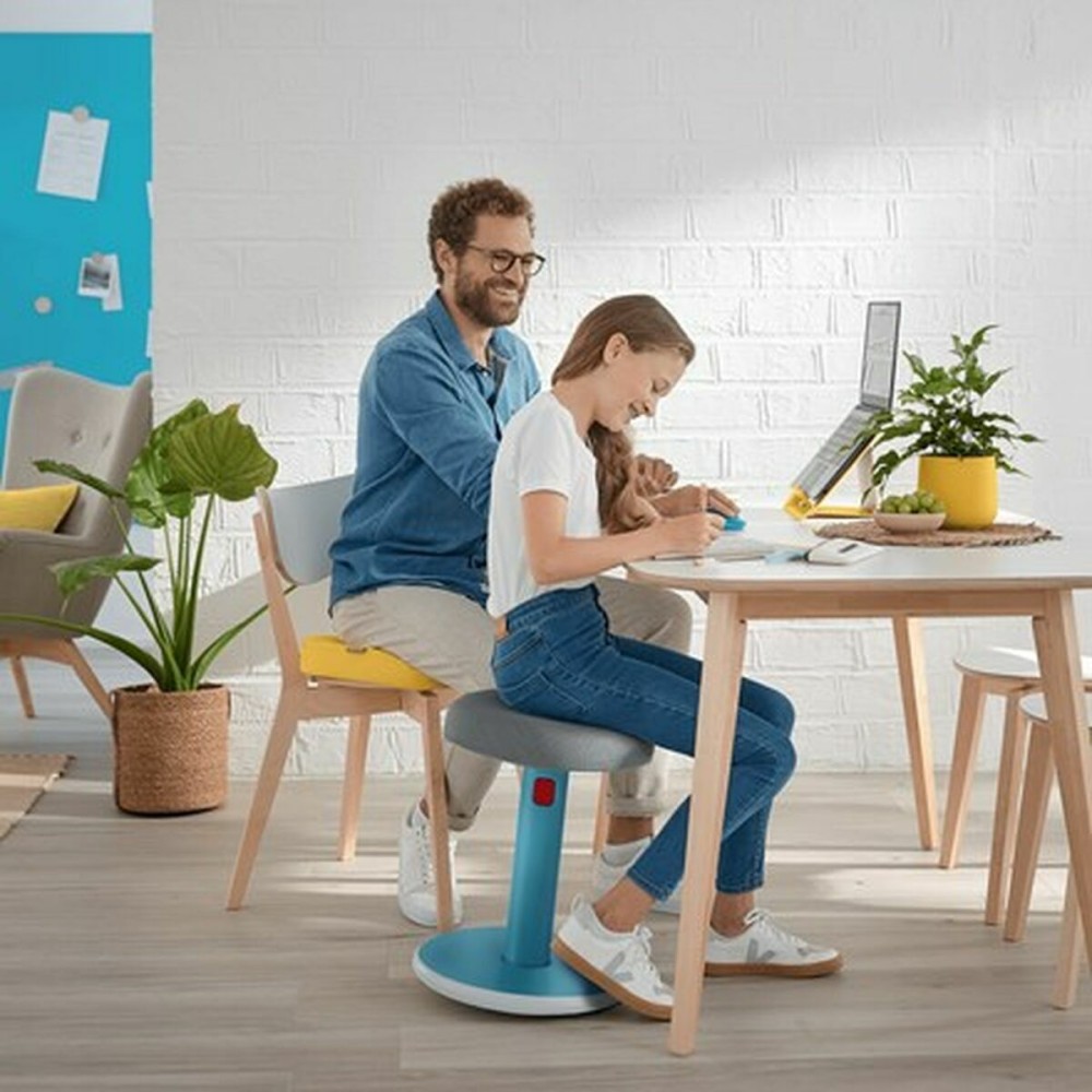 Ergonomic Stool Leitz Ergo Cosy Active Plastic