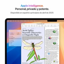 Ordinateur Portable Apple MC6J4Y/A 13" M4 24 GB RAM 512 GB SSD