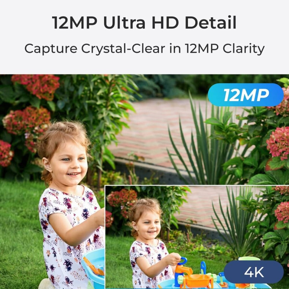 Surveillance Camcorder Reolink P344