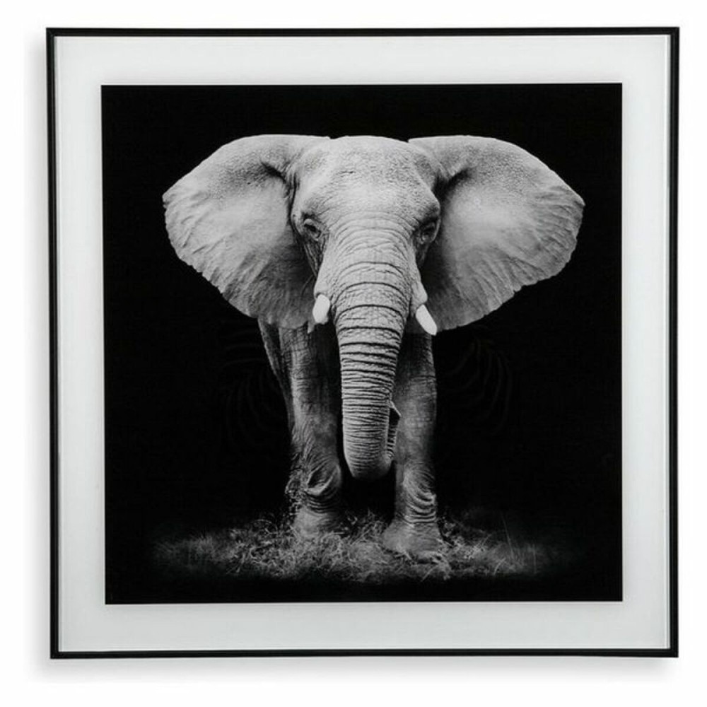 Bild Versa Kristall 2 x 50 x 50 cm