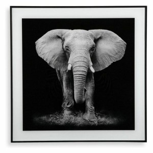 Bild Versa Kristall 2 x 50 x 50 cm